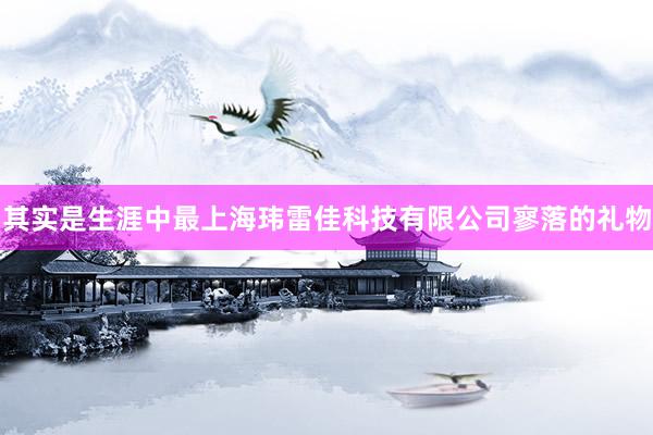 其实是生涯中最上海玮雷佳科技有限公司寥落的礼物